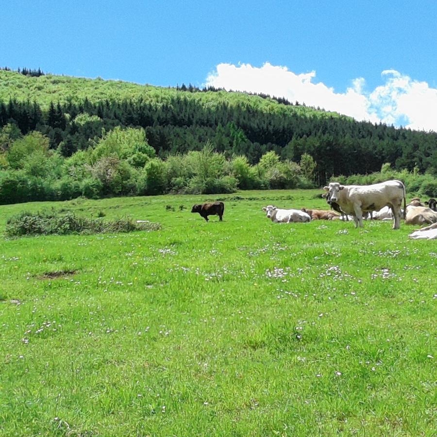 Apartamentos Turisticos Real Valle Ezcaray Zorraquín المظهر الخارجي الصورة